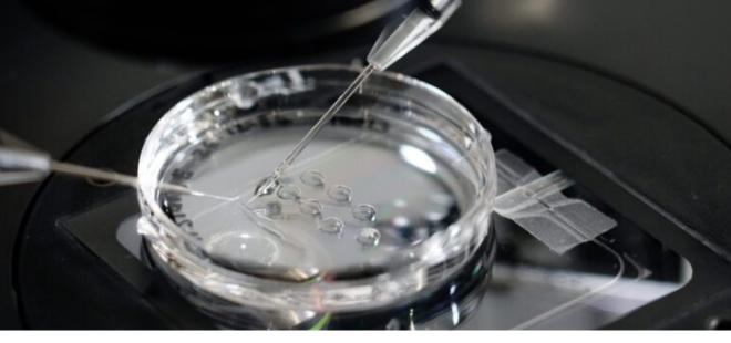 IVF-EMBRYOLOGY