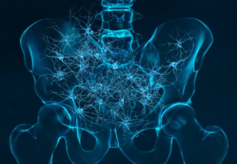 Neuropelveology